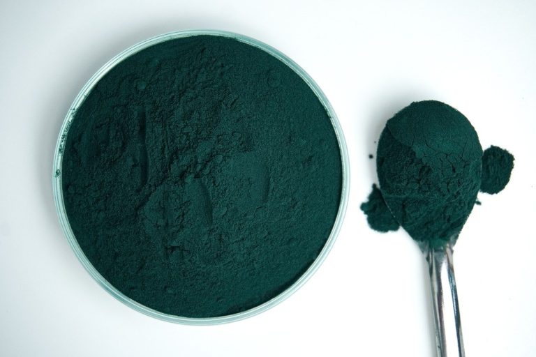 La Spiruline : Super-aliment aux Multiples Bienfaits